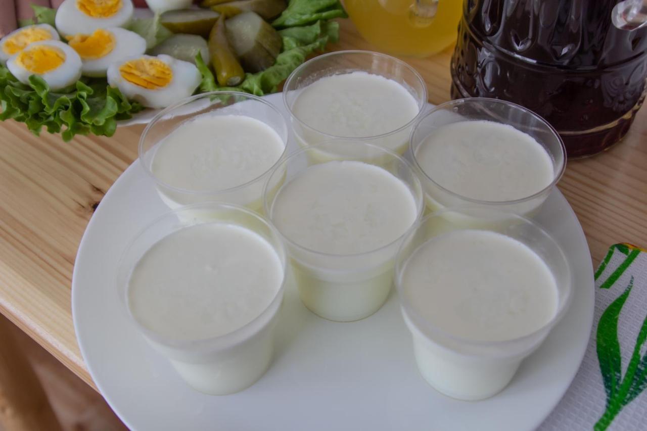 Katos Guesthouse 메스티아 외부 사진